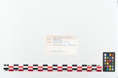 Foto von Schleifstein (NHMW-PRAE-078092)